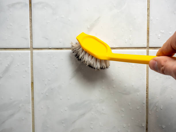 Best Residential Mold Removal  in Desert Palms, CA