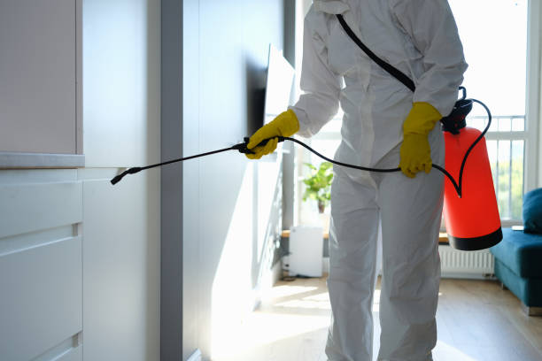 Best Professional Mold Removal  in Desert Palms, CA