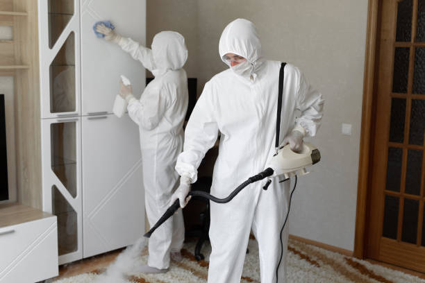 Professional Mold Removal in Desert Palms, CA