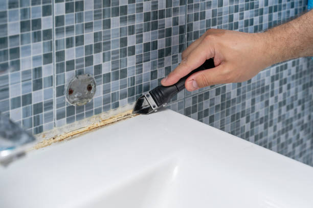 Best Toxic Mold Removal  in Desert Palms, CA