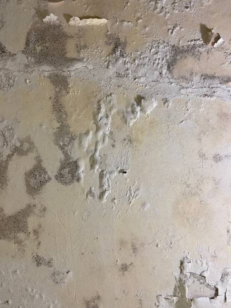 Best Water Damage Restoration  in Desert Palms, CA