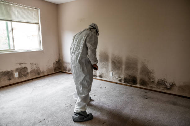 Best Emergency Mold Removal  in Desert Palms, CA