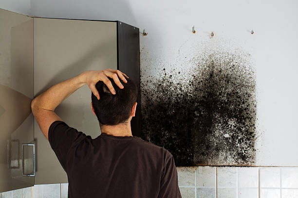 Best Black Mold Removal  in Desert Palms, CA