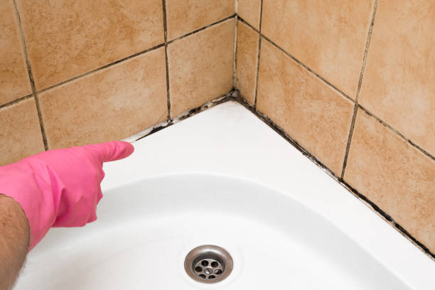 Best Mold Testing  in Desert Palms, CA